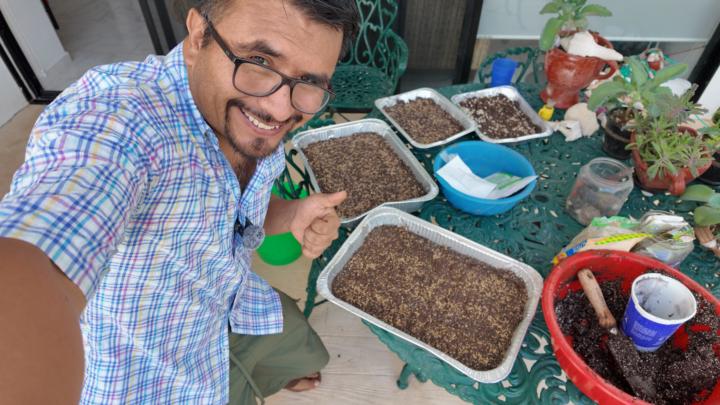 Estas son las primeras charolas puestas a germinar