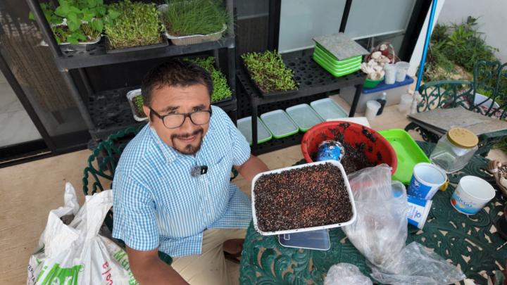 Preparando la siguiente ronda de Microverduras