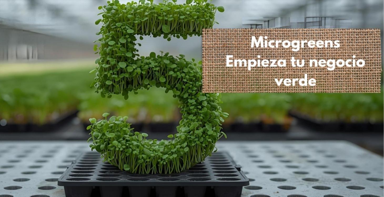 Empieza tu negocio verde