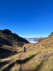 Hedwig Müller Kara-allel