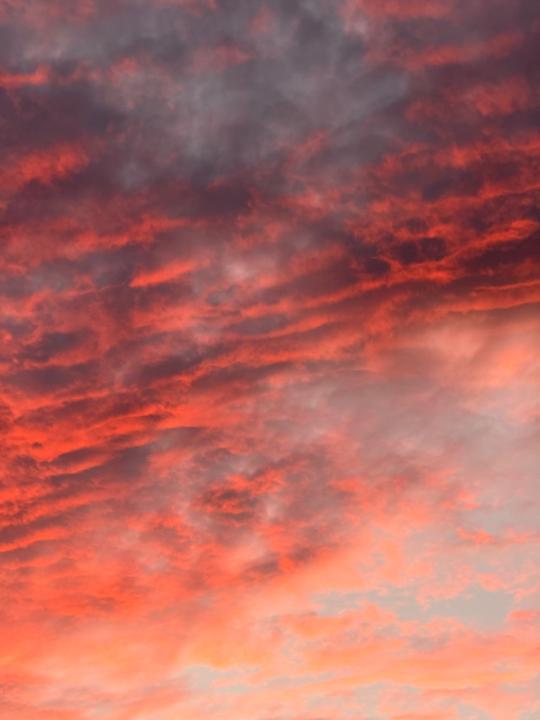 Valentina Gimenez Sottano