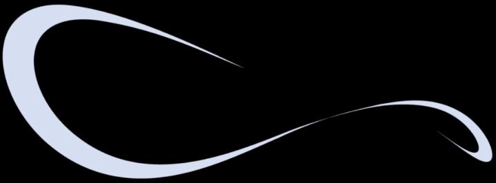 Anamarija Friganovic Goic