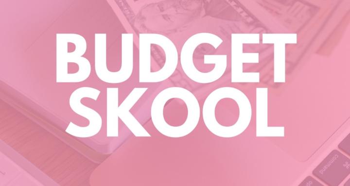 Budget Skool