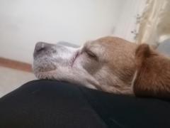 Ednacarolinatapiero Tapiero