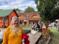 Maria del Carmen Correa Nieto