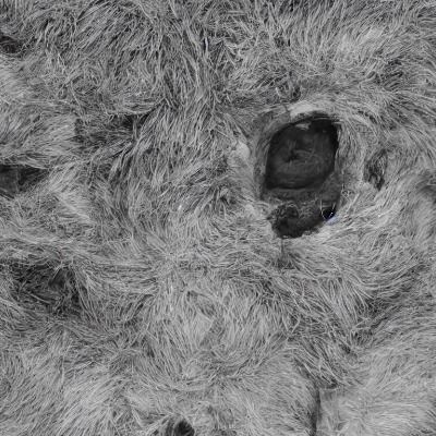 Herbert fret Ramos ccasa