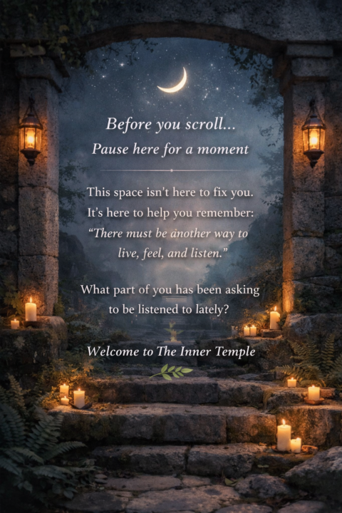 🌙 Before you scroll… pause here for a moment 🌙