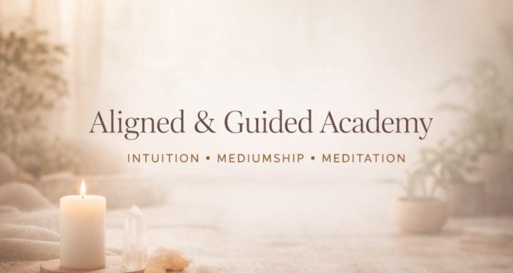Aligned & Guided Academy