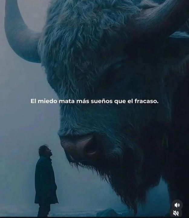 MP  Forjando Traders, el trading no te derrota, te forja 🙏