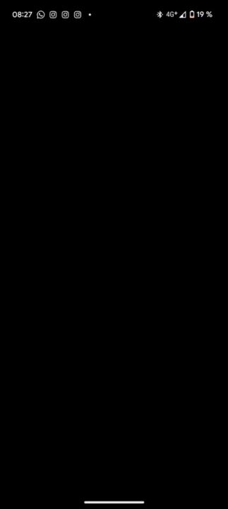 Bon Braumeister