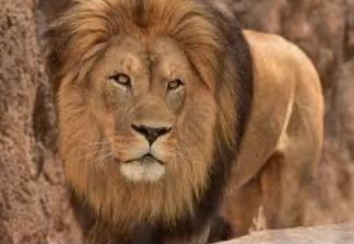 Anthony-craig Blyden