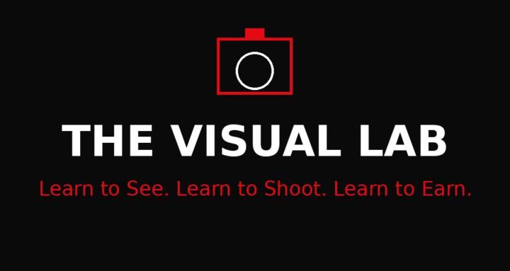 The Visual Lab