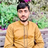 Zeeshan Gull