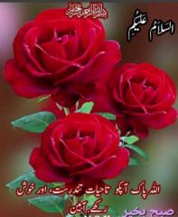 Shazia Parveen