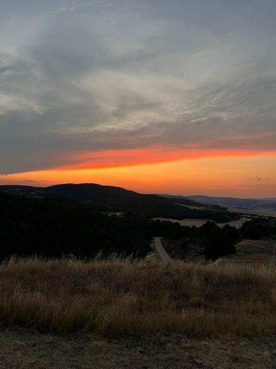 Jonathan Tapia Sellan