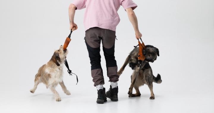 Galiūnas Dog Training