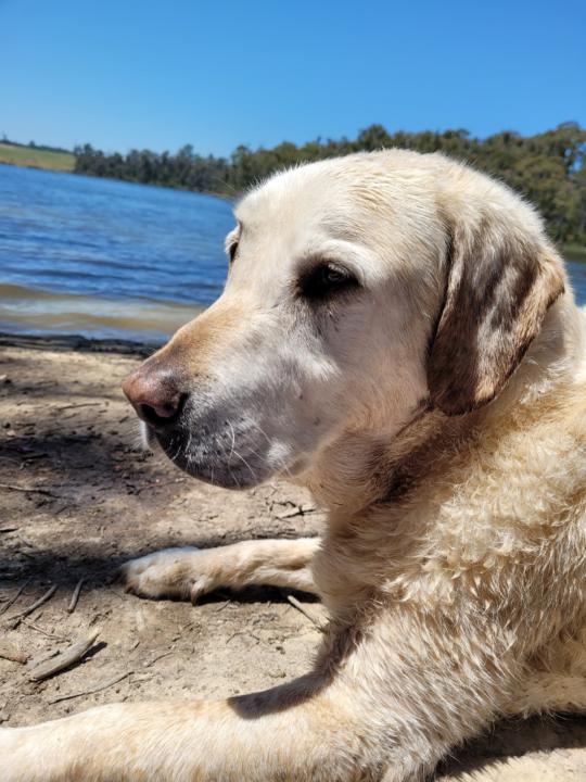 Lucy Richardson-smith