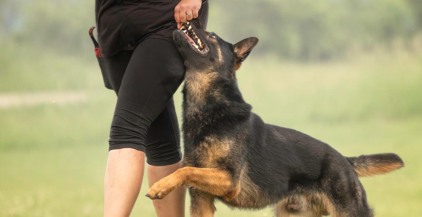 Sport Specific Training