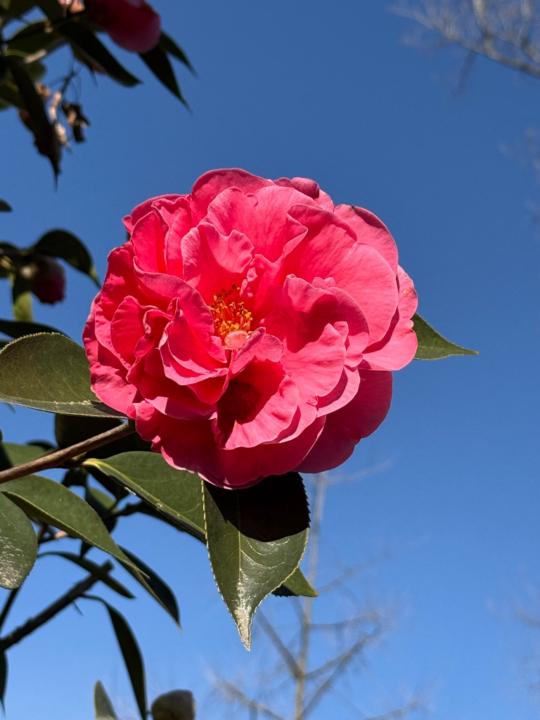 Anna Maria Keller