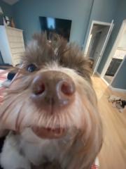 GodisKing JesusisLord