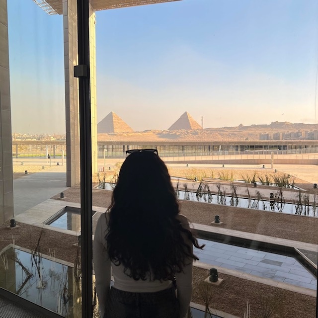 Habiba Tarek