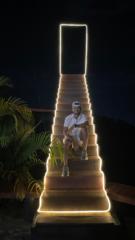 Elvis Silva mora