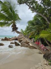 Homes Investment Group Sl