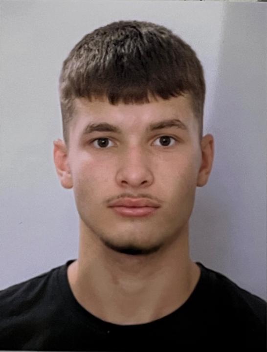 Mihailo Dimic