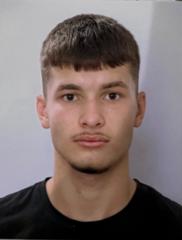 Mihailo Dimic