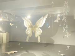 李 拑芬