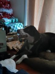 Kimberley Richardson