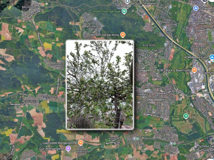 Micro-Urlaub im eigenen Garten (Zirndorf / Bayern)