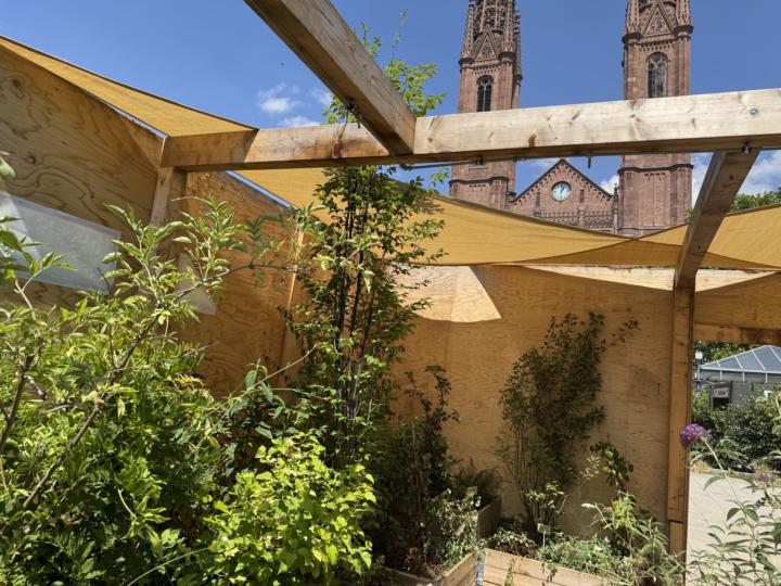 Wiesbaden, Luisenplatz, Klimakiste