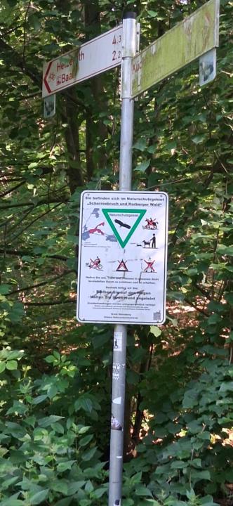 NSG Scherresbruch und Haberger Busch