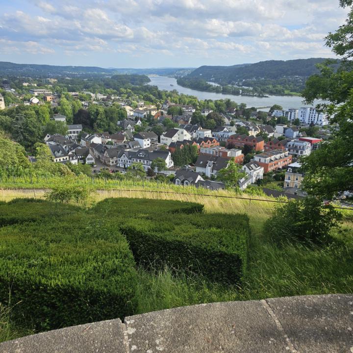 Rhein - Rhöndorf - Drachenfels