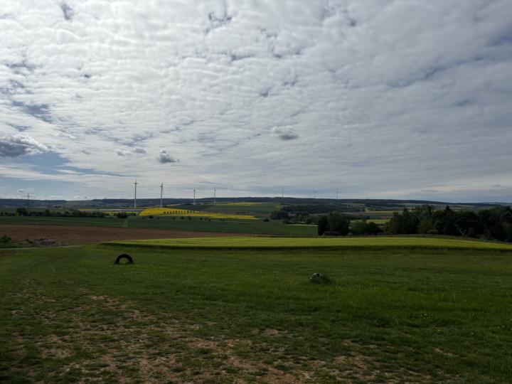 Hünfelden-Mensfelden, Taunus, Hessen: Spargel und Erdbeeren frisch vom Feld