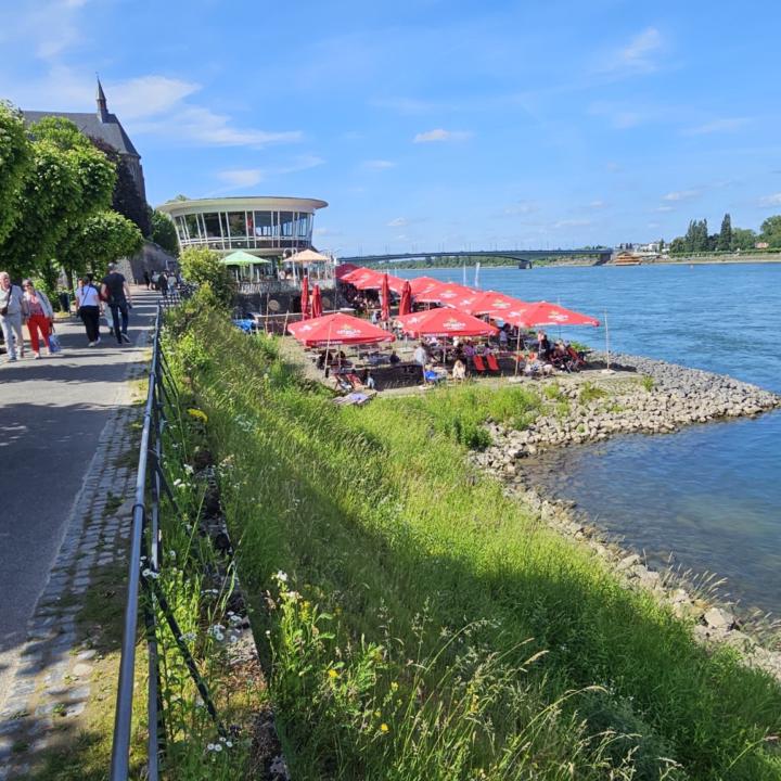 Bonn - Rheinpavillion