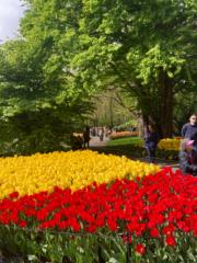 Claudia Carlucci