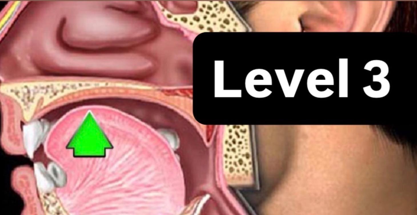 嗓音優化/ 保養 level 3
