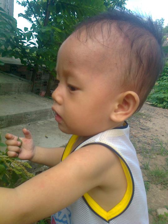 Mỹ Hạnh Nguyễn