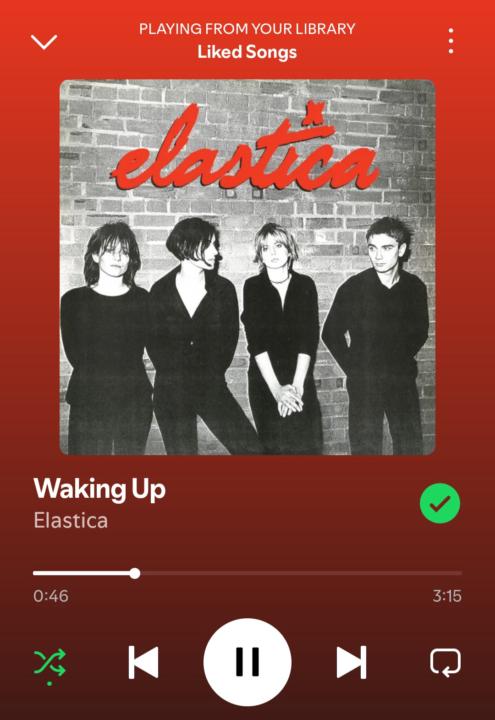 When the Spotify algorithm nails what you want to hear