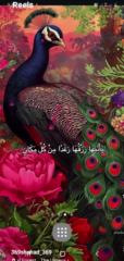 Loubna Chahat