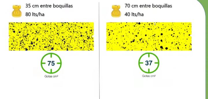 Segundo Cordon Feresin