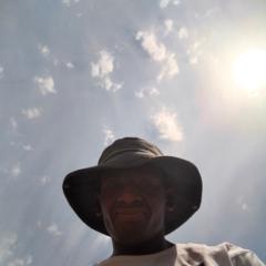 Lwandiso Zwane