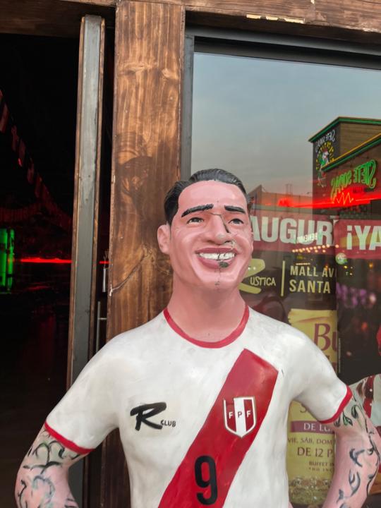Nicolás Blas