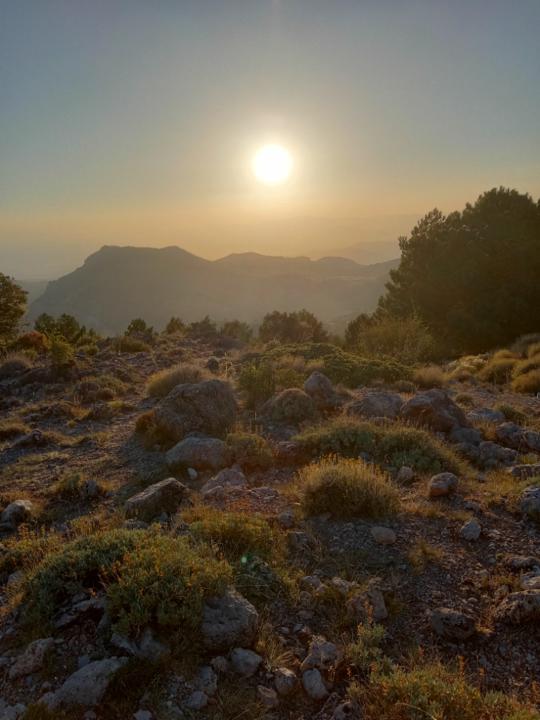 Ricardo Gallar Tomas