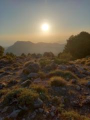 Ricardo Gallar Tomas