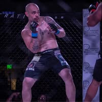 Vincent Vanisi