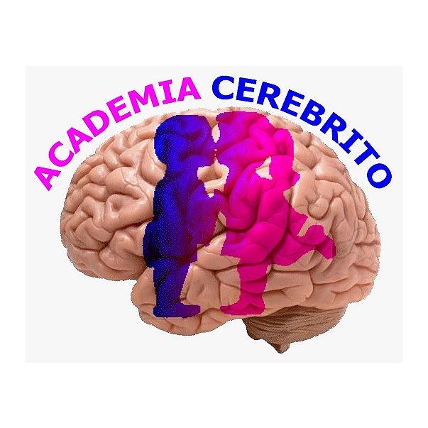 Consulta Palmas