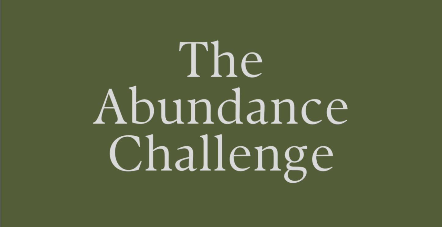 The 5-Day Abundance Challenge